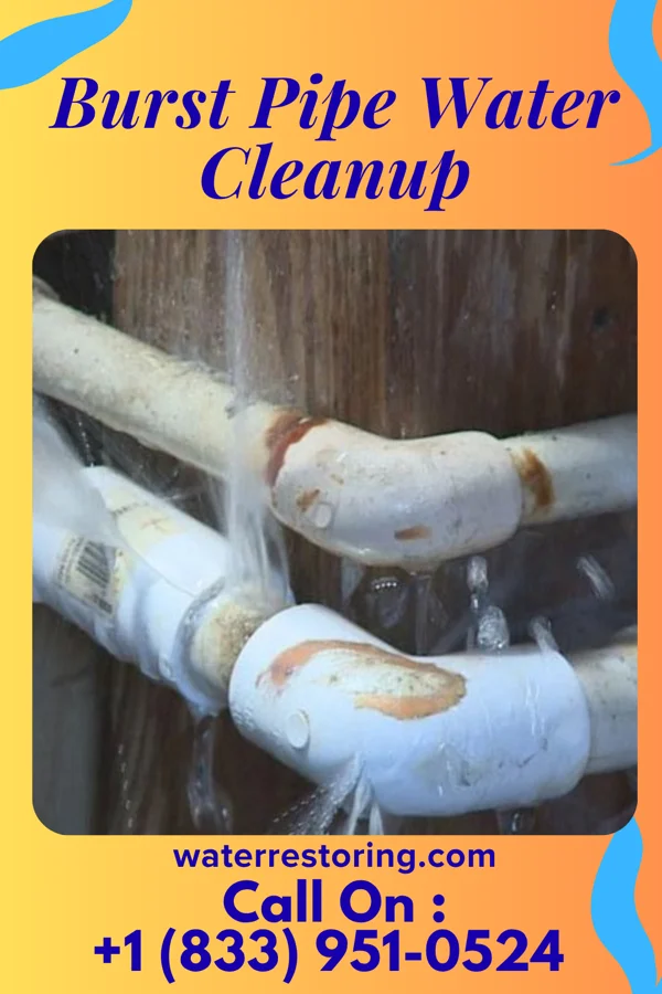 Burst Pipe Water Cleanup in Indian Hills, KY