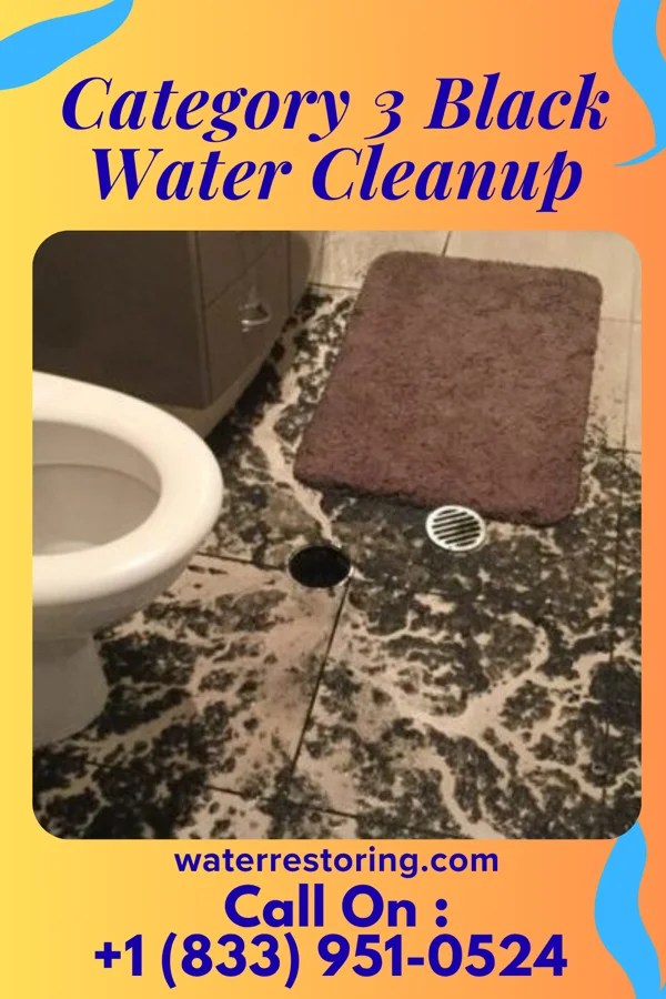 Category 3 Black Water Cleanup in Indian Hills, KY