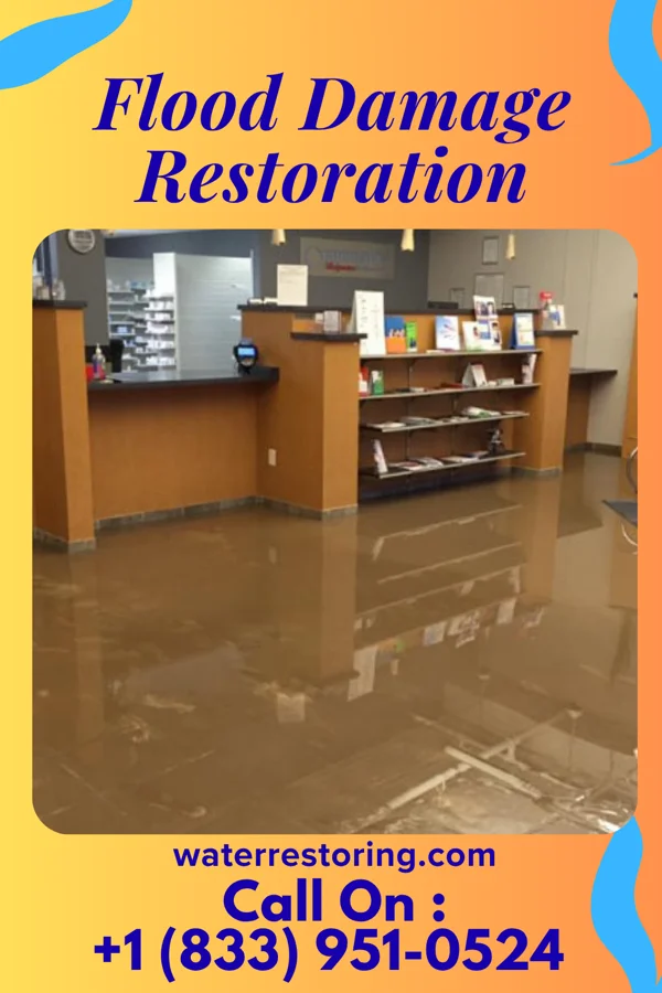 Flood Damage Restoration in Indian Hills, KY