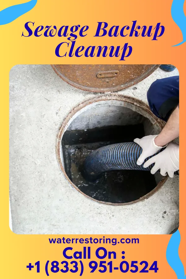 Sewage Backup Cleanup in Indian Hills, KY