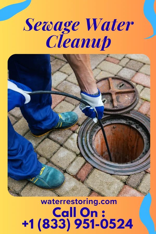 Sewage Water Cleanup in Indian Hills, KY